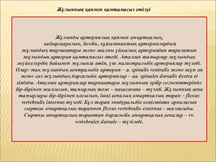 Жұлынды артериялық қанмен омыртқалық, қабырғааралық, белдік, құйымшақтық артериялардың жұлындық тармақтары