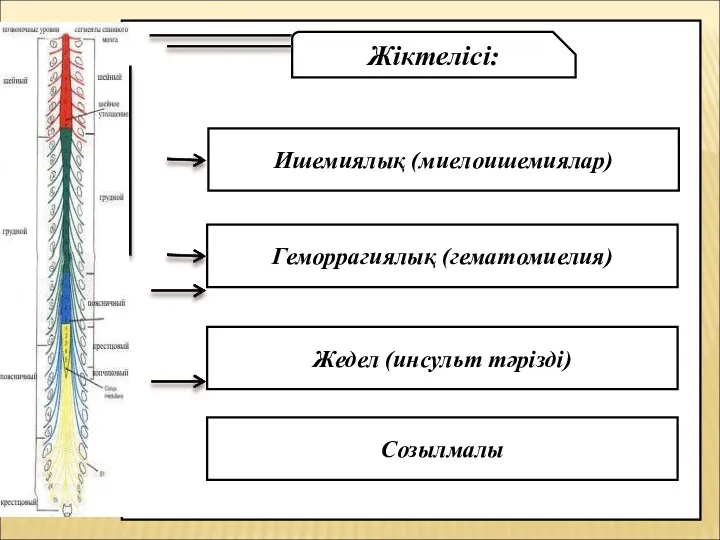 Жіктелісі: Ишемиялық (миелоишемиялар) Геморрагиялық (гематомиелия) Жедел (инсульт тәрізді) Созылмалы