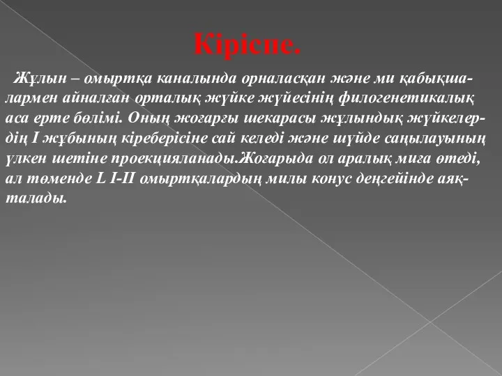 Кіріспе. Жұлын – омыртқа каналында орналасқан және ми қабықша-лармен айналған