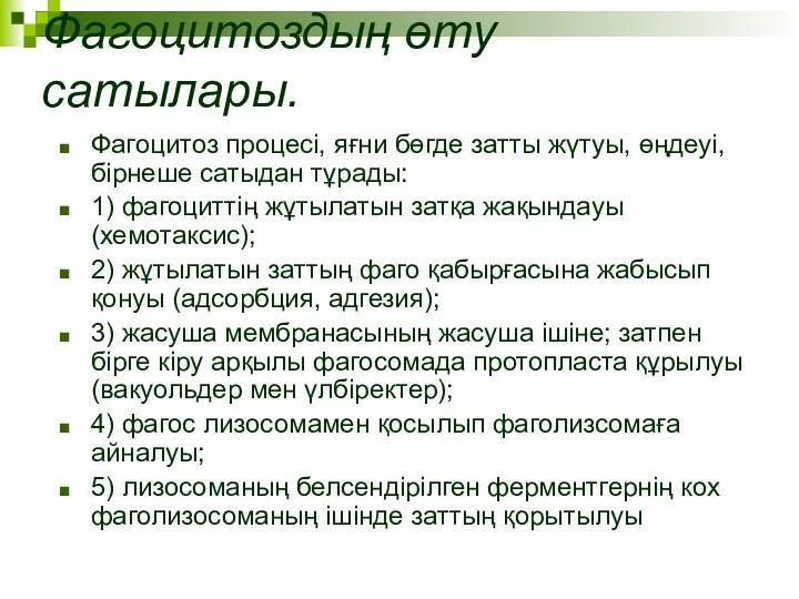 Фагоцитоздың өту сатылары. Фагоцитоз процесі, яғни бөгде затты жүтуы, өңдеуі,