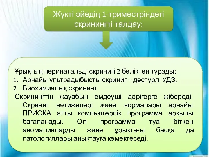 Жүкті әйедің 1-триместріндегі скринингті талдау: Ұрықтың перинатальді скринигі 2 бөліктен