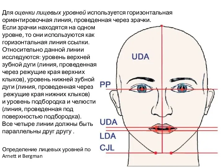 Для оценки лицевых уровней используется горизонтальная ориентировочная линия, проведенная через