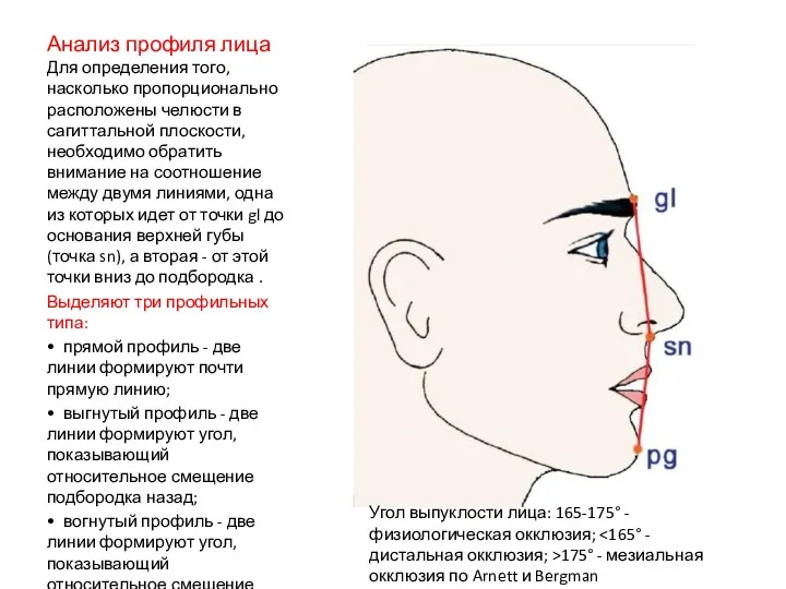 Анализ профиля лица Для определения того, насколько пропорционально расположены челюсти