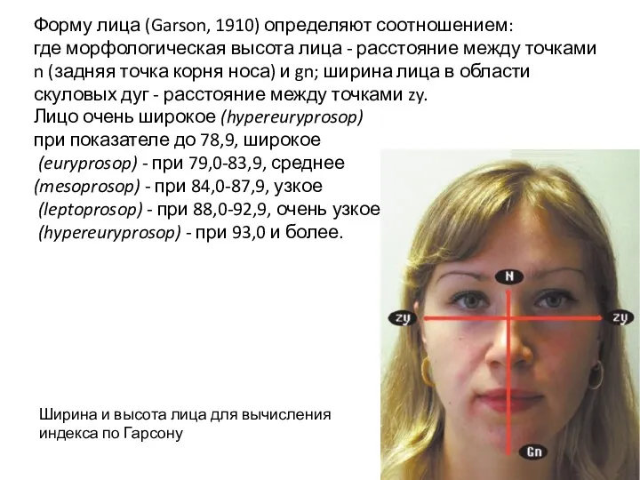 Форму лица (Garson, 1910) определяют соотношением: где морфологическая высота лица