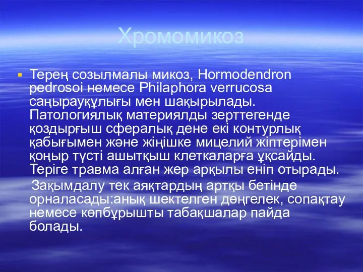 Хромомикоз Терең созылмалы микоз, Hormodendron pedrosoi немесе Philaphora verrucosa саңырауқұлығы