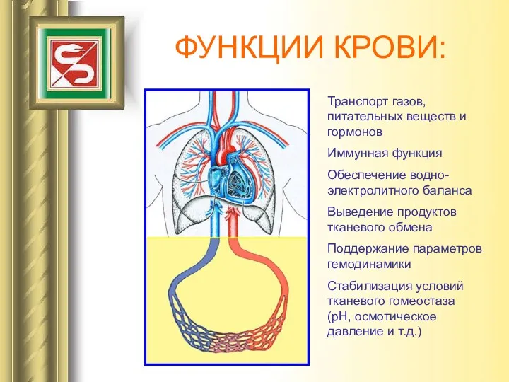 ФУНКЦИИ КРОВИ: Транспорт газов, питательных веществ и гормонов Иммунная функция