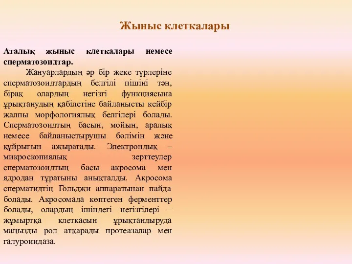 Аталық жыныс клеткалары немесе сперматозоидтар. Жануарлардың әр бір жеке түрлеріне