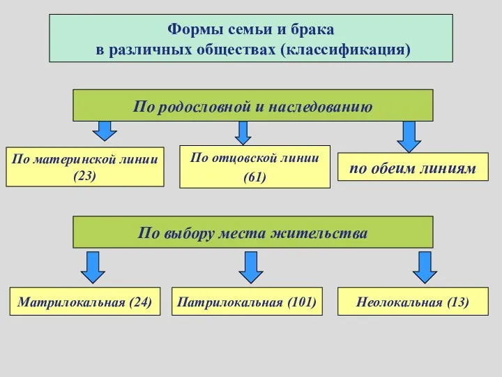 Формы семьи и брака в различных обществах (классификация) По выбору