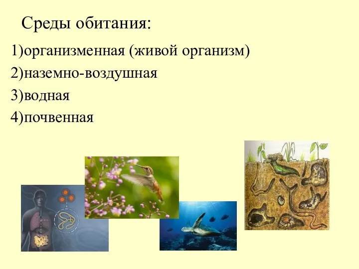 Среды обитания: 1)организменная (живой организм) 2)наземно-воздушная 3)водная 4)почвенная