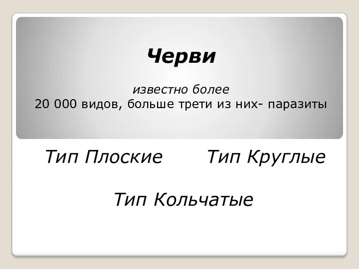 Черви известно более 20 000 видов, больше трети из них- паразиты Тип Плоские