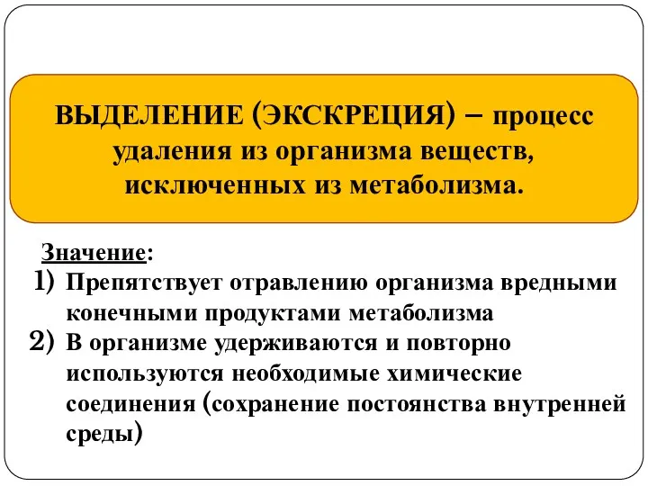 ВЫДЕЛЕНИЕ (ЭКСКРЕЦИЯ) – процесс удаления из организма веществ, исключенных из метаболизма. Значение: Препятствует