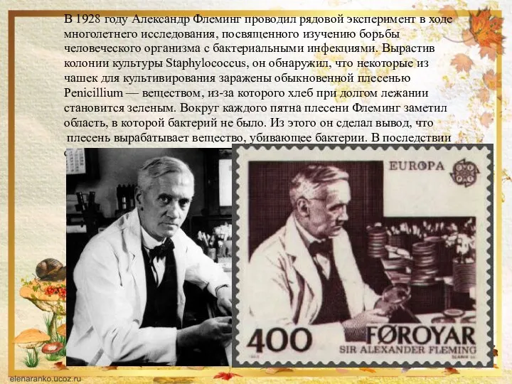 В 1928 году Александр Флеминг проводил рядовой эксперимент в ходе