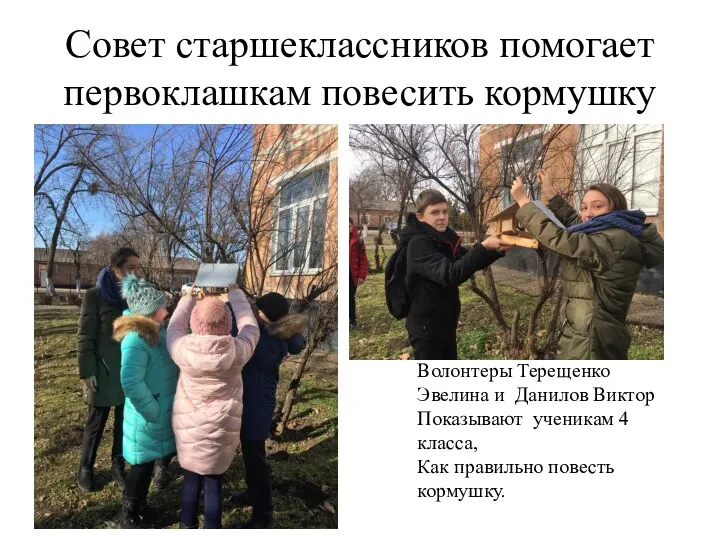 Совет старшеклассников помогает первоклашкам повесить кормушку Волонтеры Терещенко Эвелина и