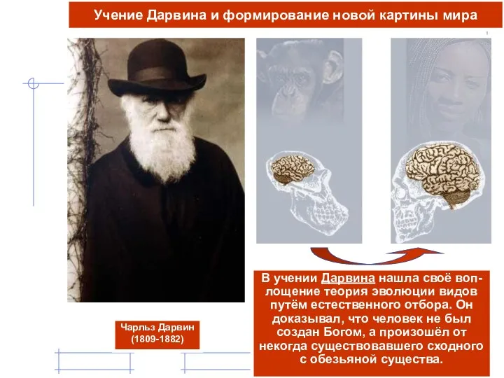 В учении Дарвина нашла своё воп-лощение теория эволюции видов путём естественного отбора. Он