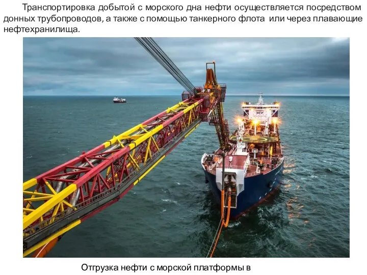 Транспортировка добытой с морского дна нефти осуществляется посредством донных трубопроводов,