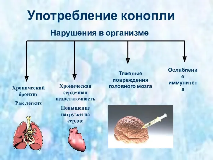 Употребление конопли Хронический бронхит Рак легких Хроническая сердечная недостаточность Повышение