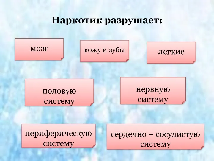 Наркотик разрушает: мозг периферическую систему сердечно – сосудистую систему половую