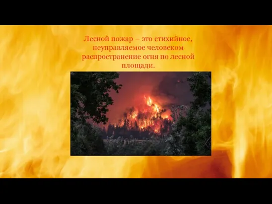 Лесной пожар – это стихийное, неуправляемое человеком распространение огня по лесной площади.