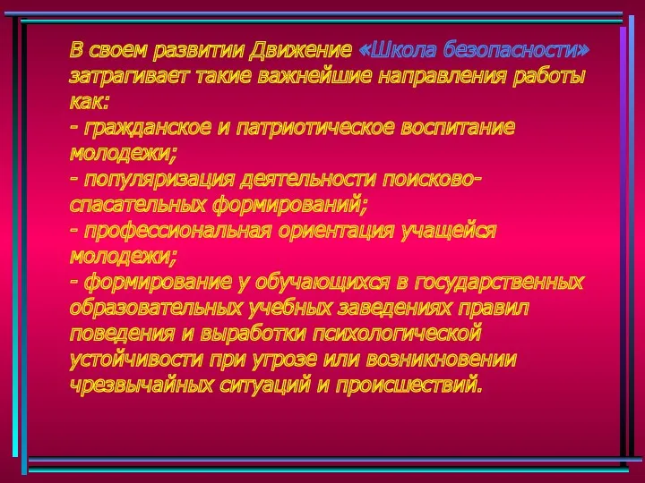 В своем развитии Движение «Школа безопасности» затрагивает такие важнейшие направления