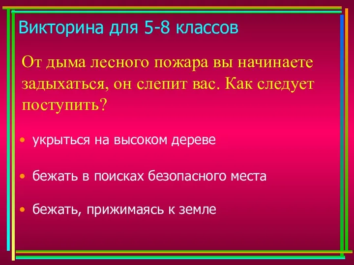 Викторина для 5-8 классов От дыма лесного пожара вы начинаете