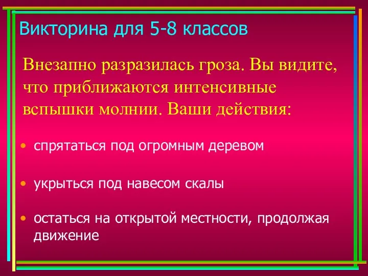 Викторина для 5-8 классов Внезапно разразилась гроза. Вы видите, что