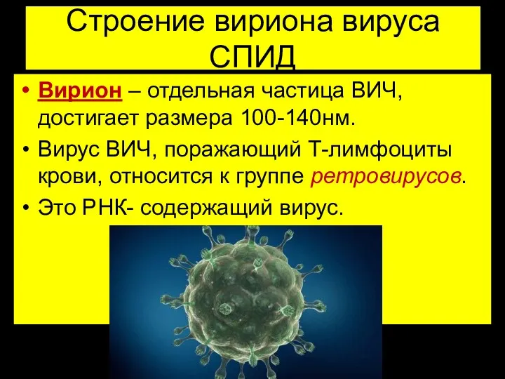 Строение вириона вируса СПИД Вирион – отдельная частица ВИЧ, достигает