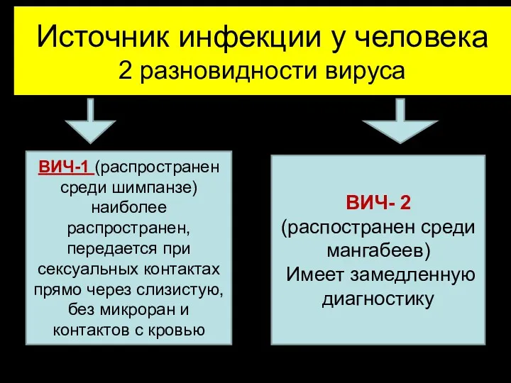 Источник инфекции у человека 2 разновидности вируса ВИЧ-1 (распространен среди