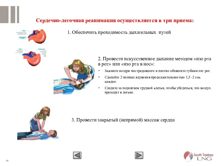 Сердечно-легочная реанимация осуществляется в три приема: 1. Обеспечить проходимость дыхательных