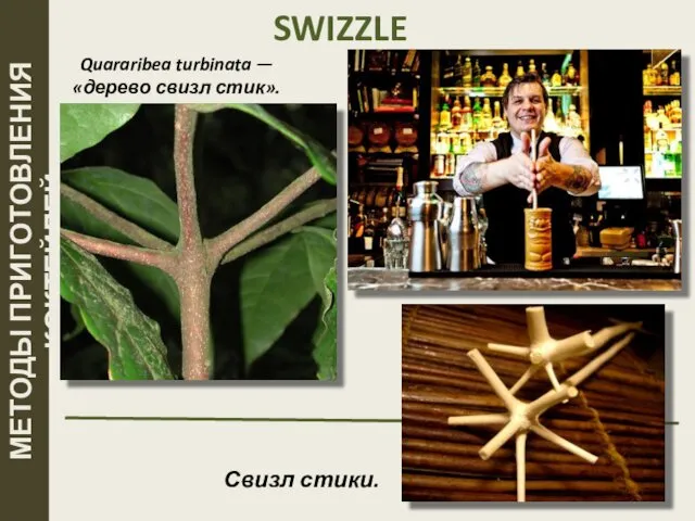 SWIZZLE Quararibea turbinata — «дерево свизл стик». МЕТОДЫ ПРИГОТОВЛЕНИЯ КОКТЕЙЛЕЙ Свизл стики.