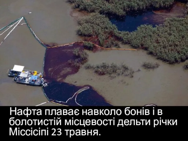 Нафта плаває навколо бонів і в болотистій місцевості дельти річки Міссісіпі 23 травня.