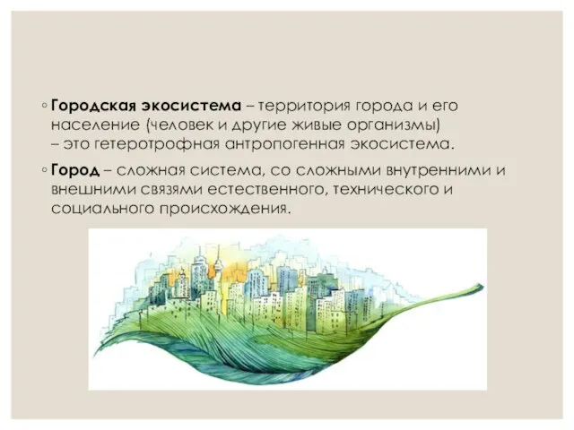 Городская экосистема – территория города и его население (человек и другие живые организмы)