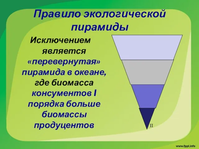 Правило экологической пирамиды Исключением является «перевернутая» пирамида в океане, где