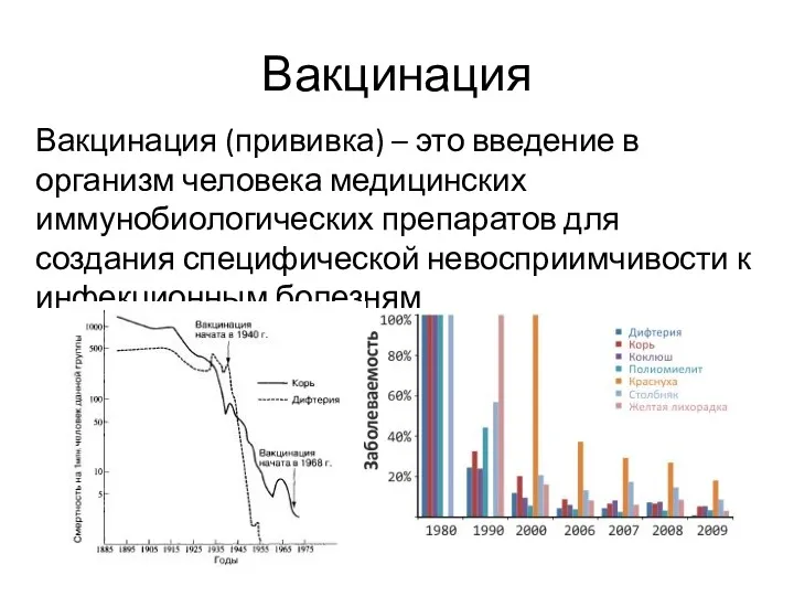 Вакцинация Вакцинация (прививка) – это введение в организм человека медицинских