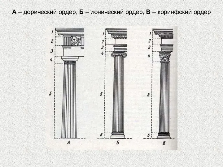 А – дорический ордер, Б – ионический ордер, В – коринфский ордер