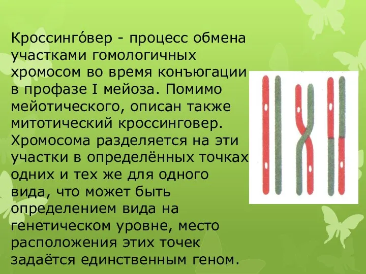 Кроссинго́вер - процесс обмена участками гомологичных хромосом во время конъюгации в профазе I