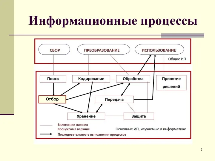 Информационные процессы Отбор