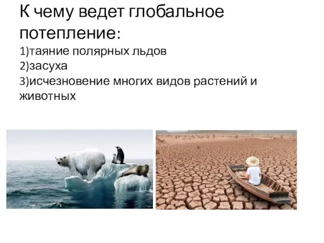 К чему ведет глобальное потепление: 1)таяние полярных льдов 2)засуха 3)исчезновение многих видов растений и животных