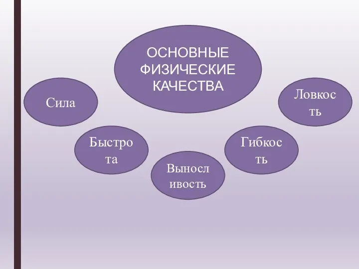 ОСНОВНЫЕ ФИЗИЧЕСКИЕ КАЧЕСТВА Выносливость Гибкость Сила Ловкость Быстрота