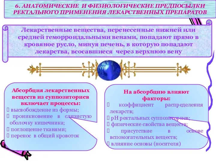 6. АНАТОМИЧЕСКИЕ И ФИЗИОЛОГИЧЕСКИЕ ПРЕДПОСЫЛКИ РЕКТАЛЬНОГО ПРИМЕНЕНИЯ ЛЕКАРСТВЕННЫХ ПРЕПАРАТОВ Лекарственные