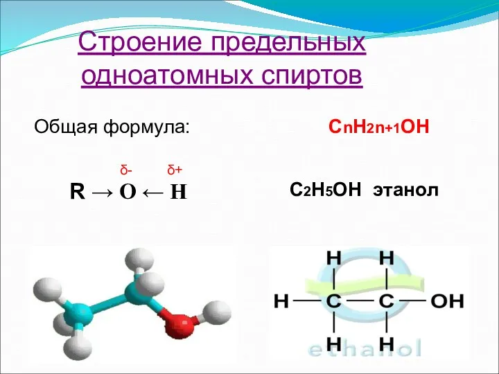 Строение предельных одноатомных спиртов Общая формула: СnH2n+1OH R → O ← H δ- δ+ C2H5OH этанол