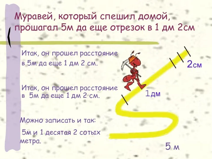 Муравей, который спешил домой, прошагал 5м да еще отрезок в 1 дм 2см