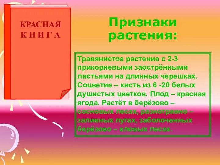 Признаки растения: Травянистое растение с 2-3 прикорневыми заострёнными листьями на