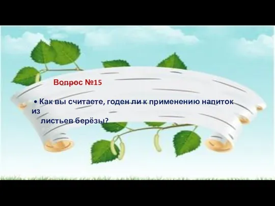 Вопрос №15 • Как вы считаете, годен ли к применению напиток из листьев берёзы?