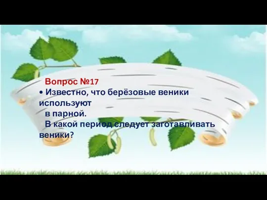 Вопрос №17 • Известно, что берёзовые веники используют в парной. В какой период следует заготавливать веники?