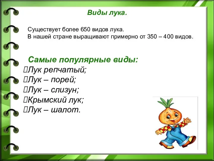 Виды лука. Существует более 650 видов лука. В нашей стране