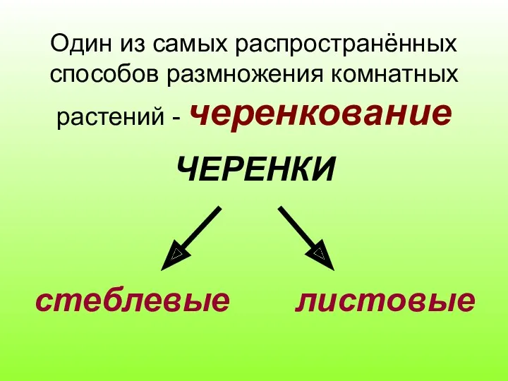 Один из самых распространённых способов размножения комнатных растений - черенкование ЧЕРЕНКИ стеблевые листовые