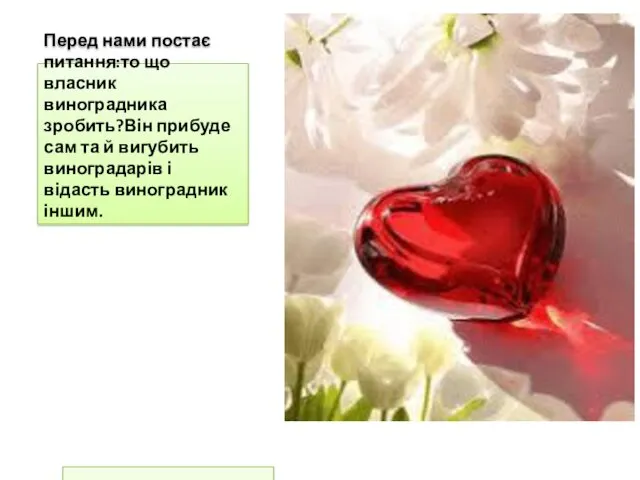 Перед нами постає питання:то що власник виноградника зробить?Він прибуде сам