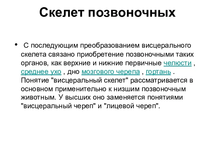 Скелет позвоночных С последующим преобразованием висцерального скелета связано приобретение позвоночными