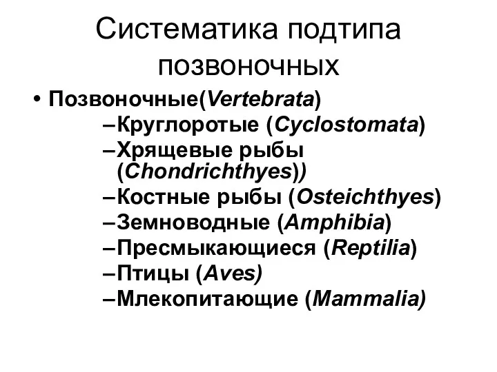 Систематика подтипа позвоночных Позвоночные(Vertebrata) Круглоротые (Cyclostomata) Хрящевые рыбы (Chondrichthyes)) Костные