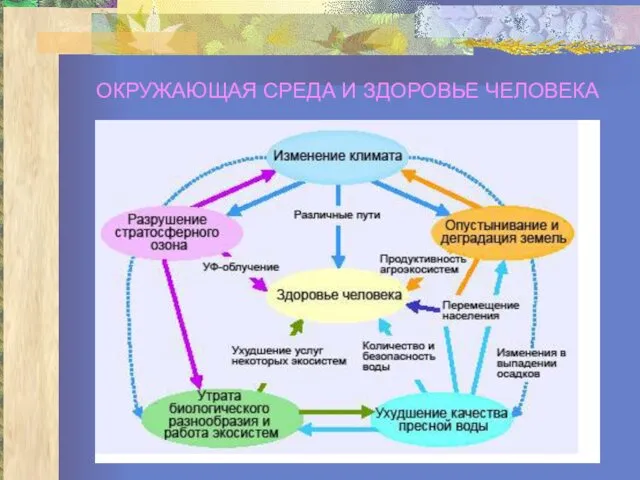 ОКРУЖАЮЩАЯ СРЕДА И ЗДОРОВЬЕ ЧЕЛОВЕКА